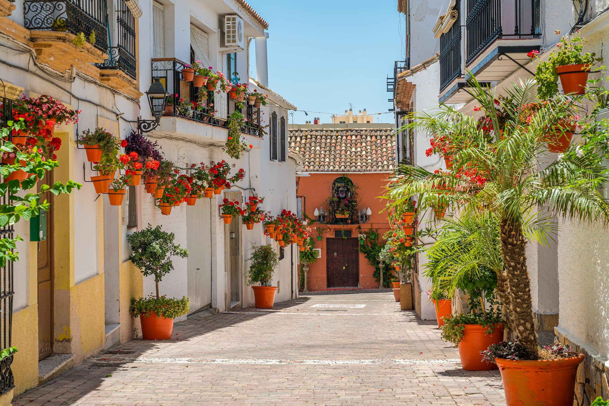 Estepona old town lane with red flower pots and whitewashed houses