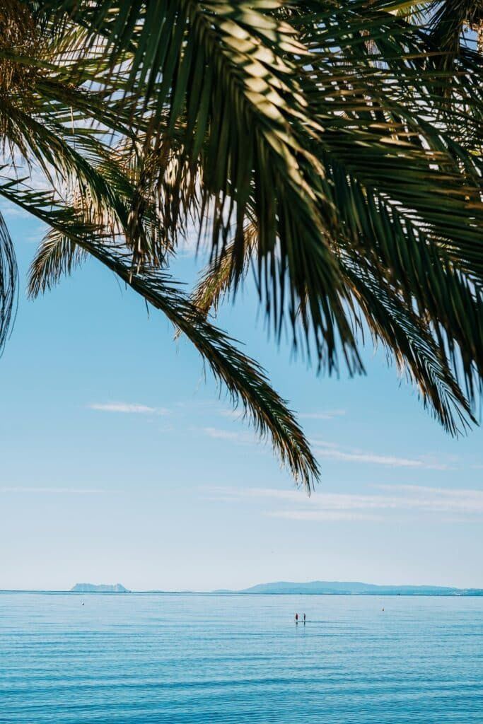 Marbella’s Strong Growth and Continued Demand in 2025