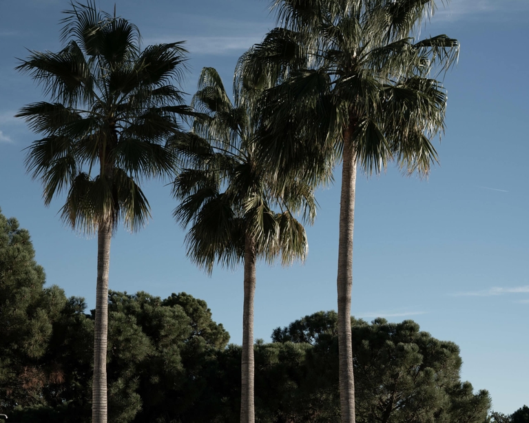 Sell your property in Marbella with us